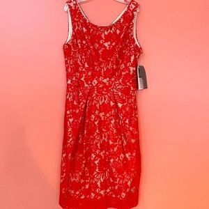 Donna Ricco Women’s Dress